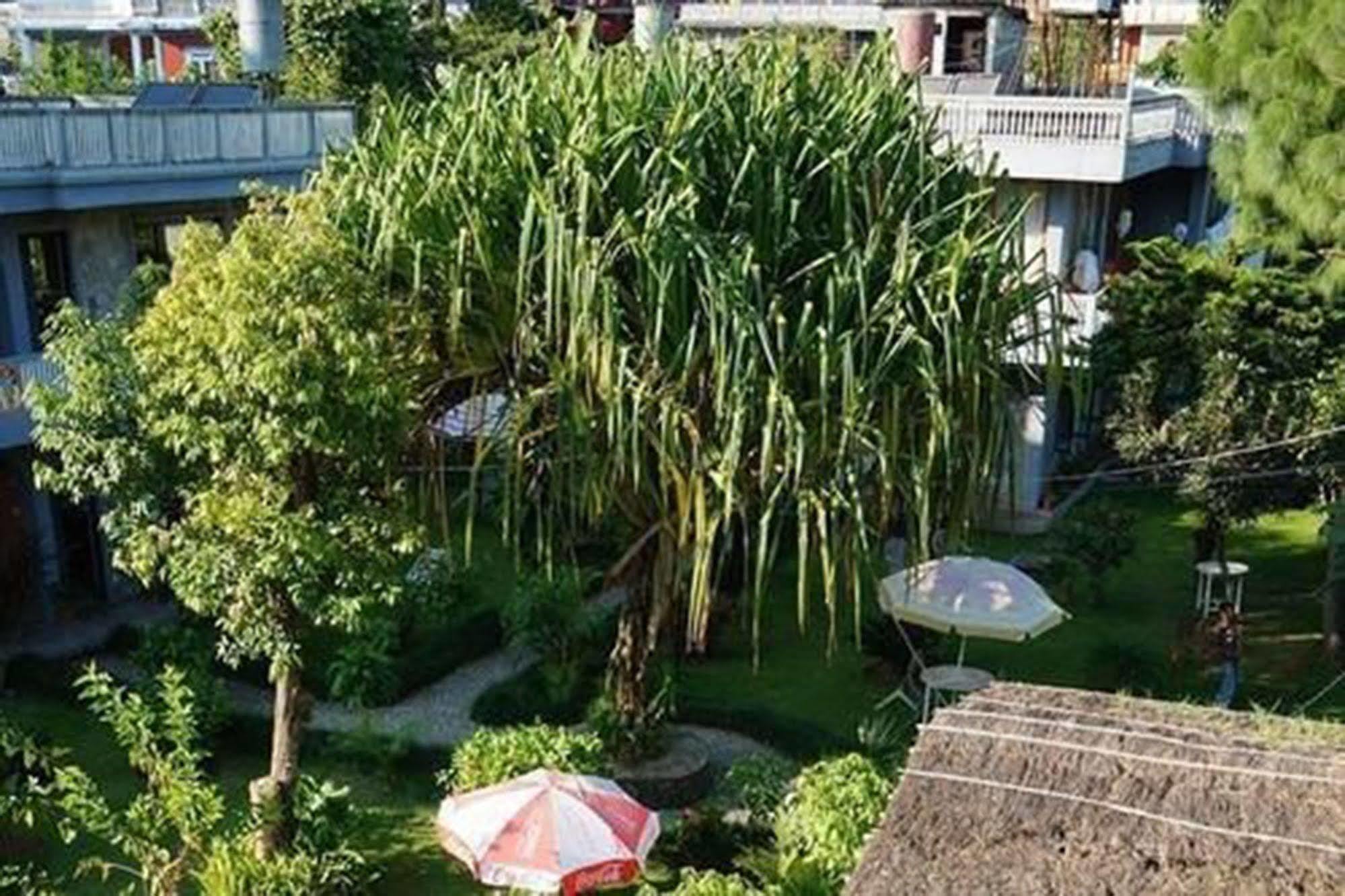 Hotel Mandala Pokhara Eksteriør billede